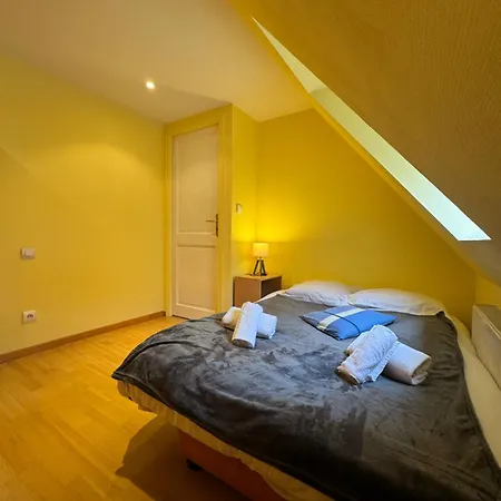 Holiday home Le Colmarien - Hypercentre - Free Parking - Terrasse *