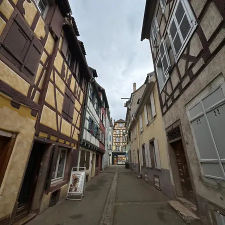 Le Colmarien - Hypercentre - Free Parking - Terrasse בית נופש