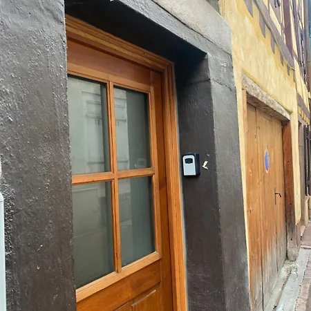 Le Colmarien - Hypercentre - Free Parking - Terrasse Holiday home Colmar